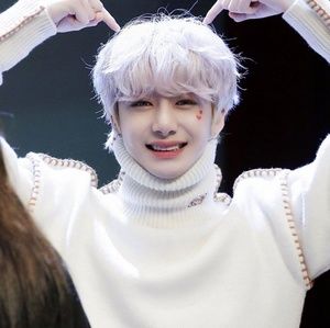 Meet your Posher, Priscilla